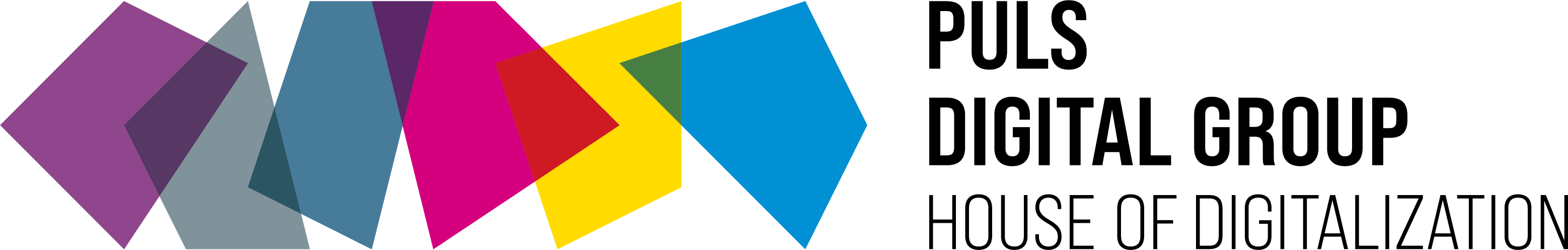 PULS DIGITAL GROUP - House of Digitalization